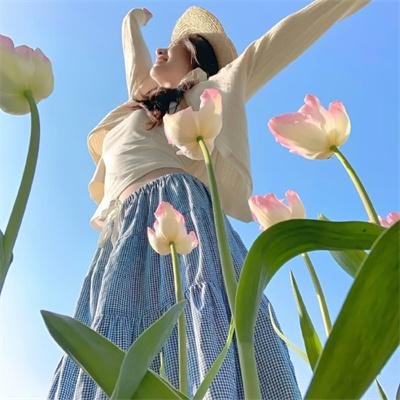 迈克尔·谢恩,私家侦探
